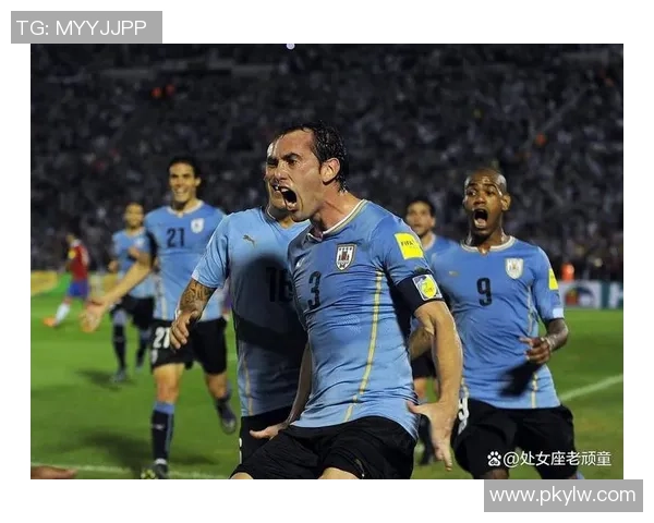 乌拉圭足球队第二球星的崛起与影响力分析