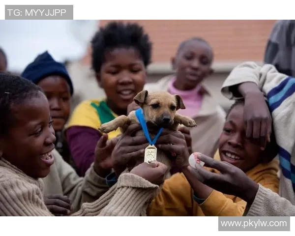 南非足球球星崛起之路:从街头足球到国际赛场的辉煌历程 南非足球球星崛起之路:从街头足球到国际赛场的辉煌历程