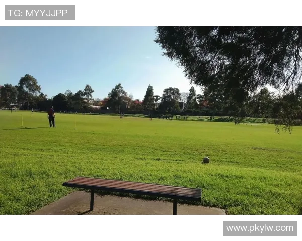 在绿茵场与生活交错的镜像中探寻足球球星替身文学的隐秘叙事魅力